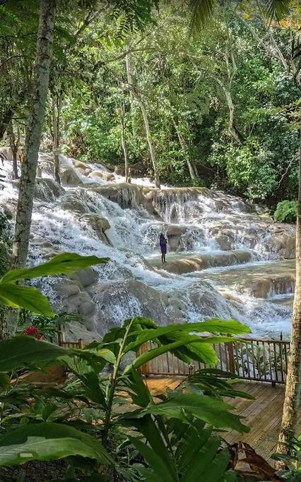 Ocho Rios Retreat 아파트